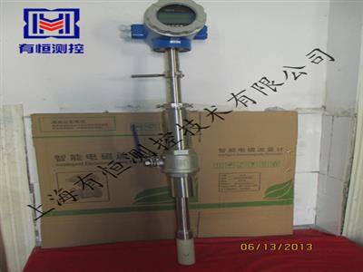 上海有恒牌一體插入式電磁流量計