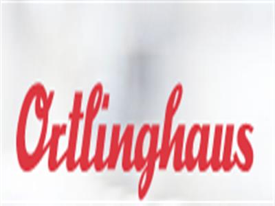 0085-710-31-000000 Ortlinghaus 壓力安全閥