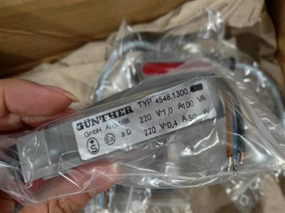 甘特 GUNTHER 4548.1300.010 磁性開關