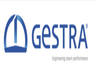 GESTRA EF0.7 閥門定位器