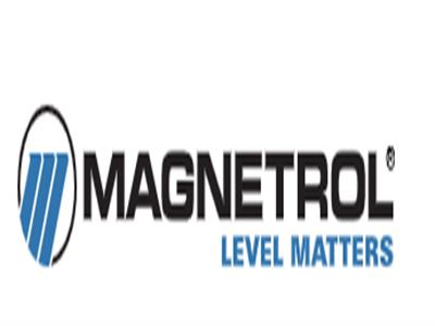 Magnetrol XTD1-2D00-031 TMA-A220-010 傳感器