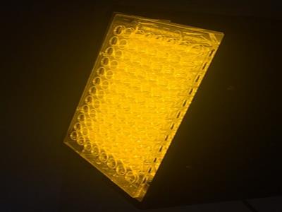 光敏、光熱、細胞光毒性光源照射機 LED96孔細胞培養板96孔板光源氙燈光源單色儀波長可調光源