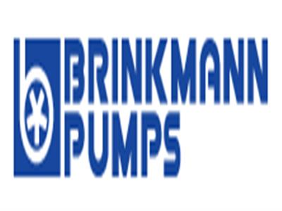 brinkmann STA603/340-Y+010泵