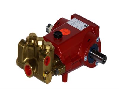 SPECK P22/28-100 電動柱塞泵