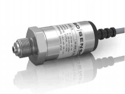 BD SENSORS 30.600G-4001-R-1-8-100-300-2-1-000
