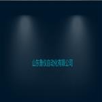 山東魯儀自動化有限公司