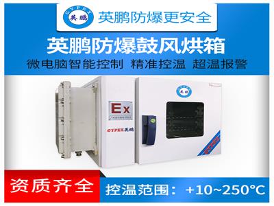 東莞高校防爆電熱恒溫干燥箱,沈陽實驗室防爆電熱恒溫干燥箱