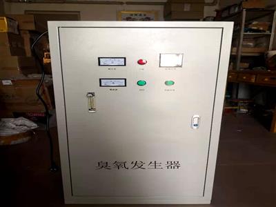 泉州污水脫色臭氧發生器-泉州污水除臭臭氧發生器-泉州污水COD降解臭氧發生器廠家