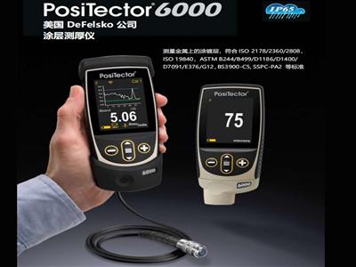 英國PosiTector 6000涂鍍層測厚儀