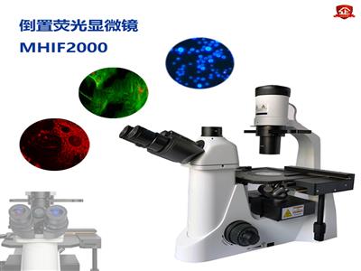 廣州明慧倒置熒光顯微鏡MHIF2000-深圳熒光顯微鏡-韶關熒光顯微鏡代理商
