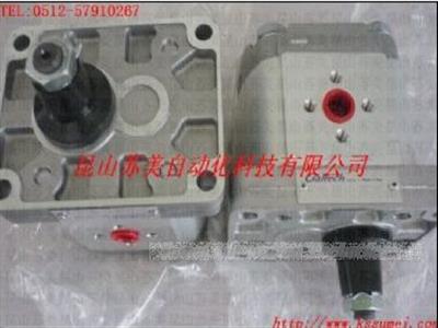 意大利GALTECH齒輪泵